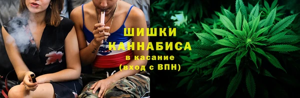 молекула духа Нягань