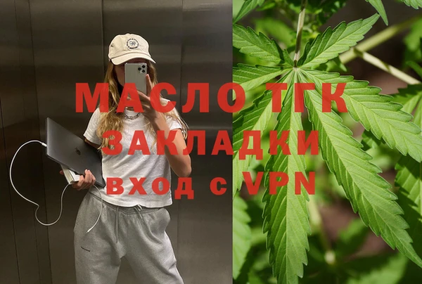 тгк Няндома