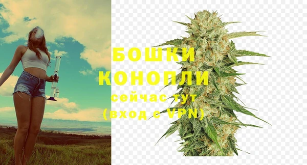 PSILOCYBIN Переславль-Залесский