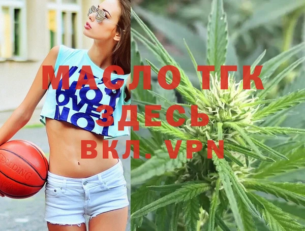 тгк Няндома