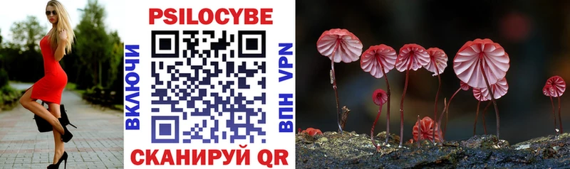 Псилоцибиновые грибы Psilocybe  даркнет сайт  Кашира 