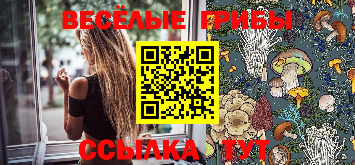 Alpha-PVP СОЛЬ кристаллы  МЕТ  Мефедрон кристаллы  ГАШ  Конопля  КОКАИН  Кашира  Вход с VPN  ЭКСТАЗИ 