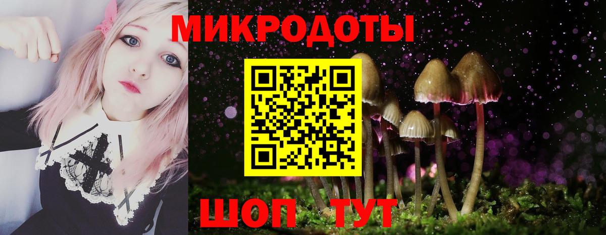 Кашира  Галлюциногенные грибы Psilocybine cubensis  Вход с VPN 