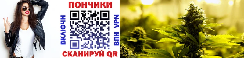 цены наркотик Кашира МАРИХУАНА план